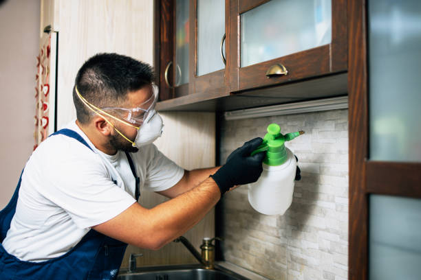Best Residential Pest Control  in St Helens, OR