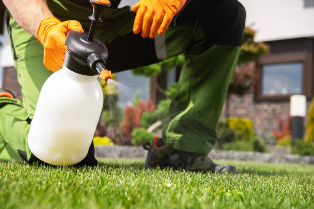 Best Pest Inspection Near Me  in St Helens, OR
