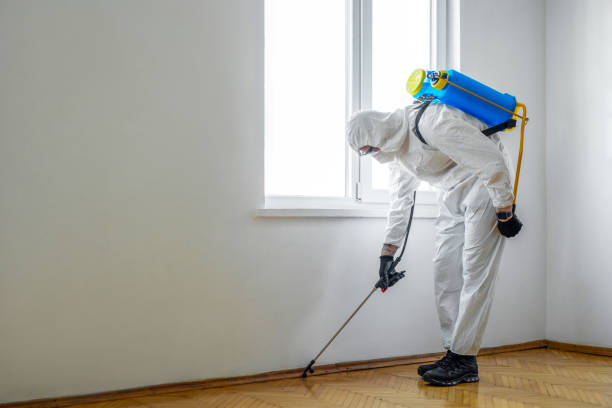 Best Wildlife Control Services  in St Helens, OR