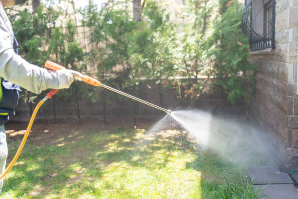 Trusted St Helens, OR Pest Control Experts