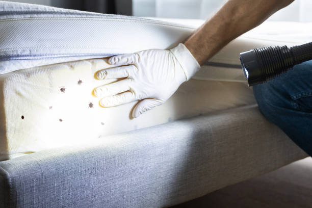  St Helens, OR Pest Control Pros